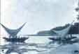 Malekula Canoes