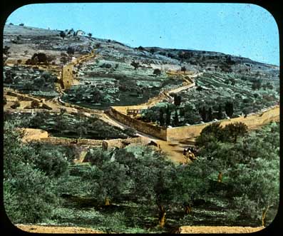 Mount of Olives