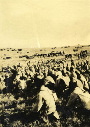 Captured Turkish Soldiers, Palestine, c.1918