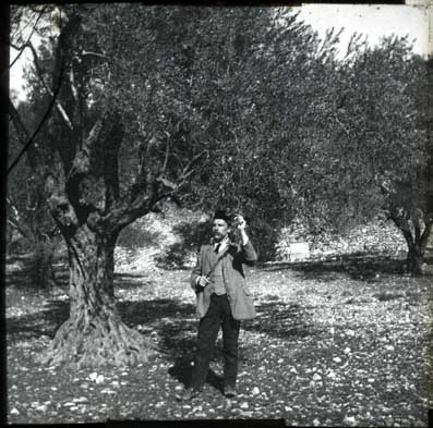 Garden of Gethsemane